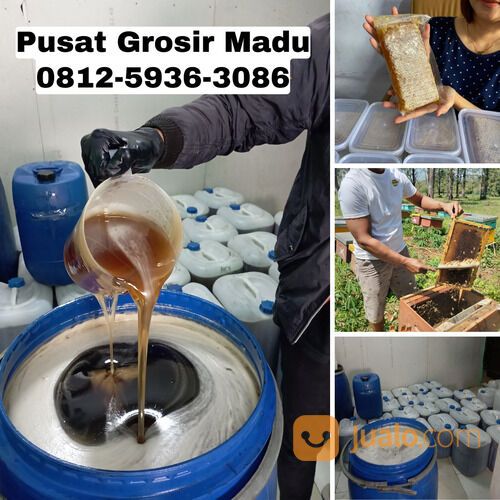 SUPPLIER MADU ASLI MURNI, 0812-5936-3086, Dukuh Kupang Surabaya Madu Kencono