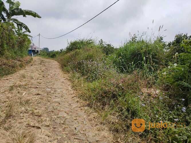 Edisi BU Kebun Jeruk Peras Murah Luas Strategis di Dau Malang