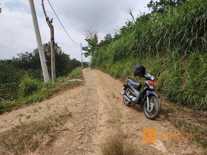 Edisi BU Kebun Jeruk Peras Murah Luas Strategis di Dau Malang