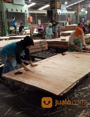 PABRIK PLYWOOD DAN BARECORE