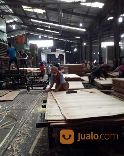 PABRIK PLYWOOD DAN BARECORE