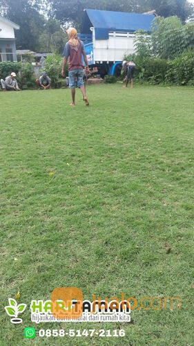 Beli Rumput Jepang Per M2 Kota Kediri