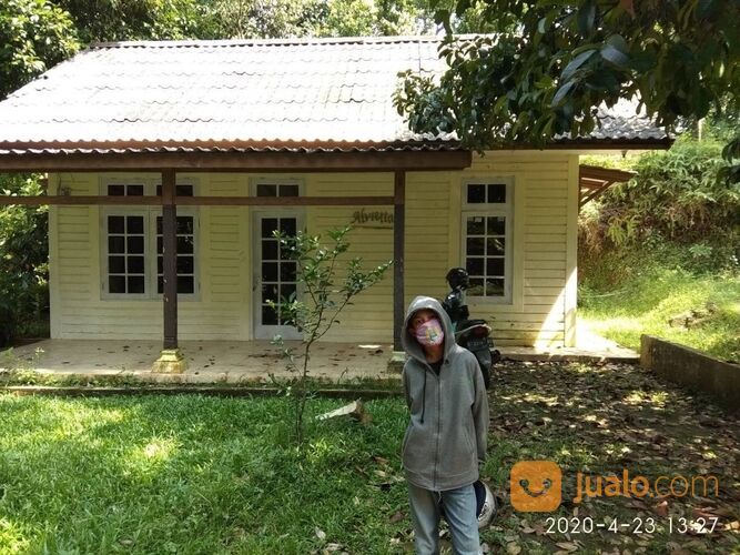 Tanah Murah, Lahan Perkebunan Durian dan Manggis, Leuwiliang, Bogor, Jawa Barat