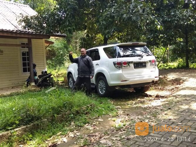 Tanah Murah, Lahan Perkebunan Durian dan Manggis, Leuwiliang, Bogor, Jawa Barat