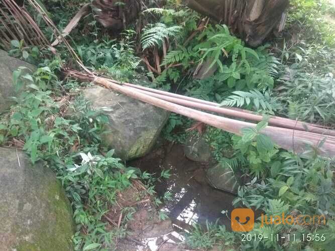 Tanah Murah, Lahan Perkebunan Durian dan Manggis, Leuwiliang, Bogor, Jawa Barat