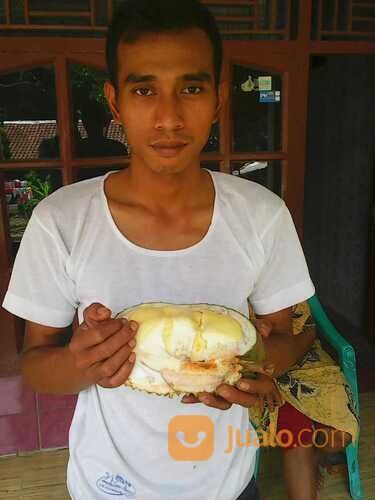 Tanah Murah, Lahan Perkebunan Durian dan Manggis, Leuwiliang, Bogor, Jawa Barat