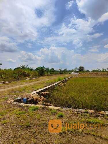 Tanah Kavling Murah Tanpa DP | Batas Menganti Gresik
