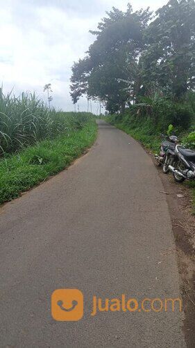 Tanah di Tumpang Candi Jago