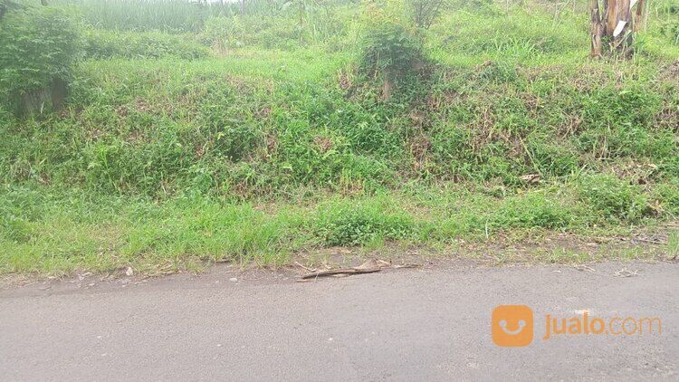 Tanah di Tumpang Candi Jago