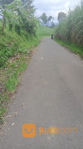 Tanah di Tumpang Candi Jago