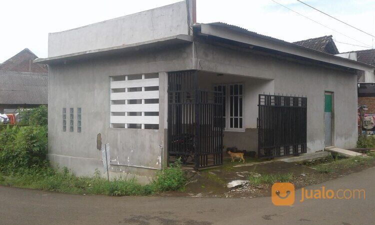 Rumah Kampung di Pakis Jabung