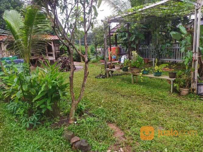 Tanah Murah di Bilabong Permai Bogor, Akses Jalan Pruis