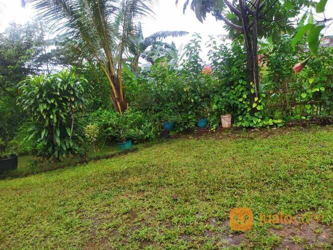 Tanah Murah di Bilabong Permai Bogor, Akses Jalan Pruis