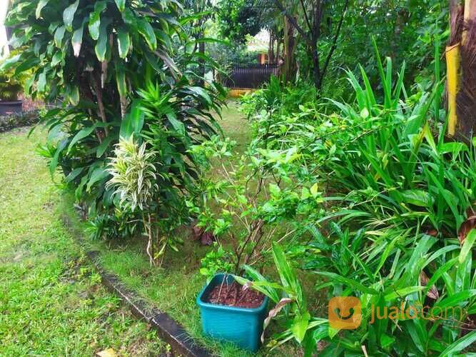 Tanah Murah di Bilabong Permai Bogor, Akses Jalan Pruis