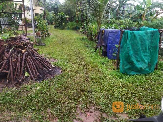 Tanah Murah di Bilabong Permai Bogor, Akses Jalan Pruis