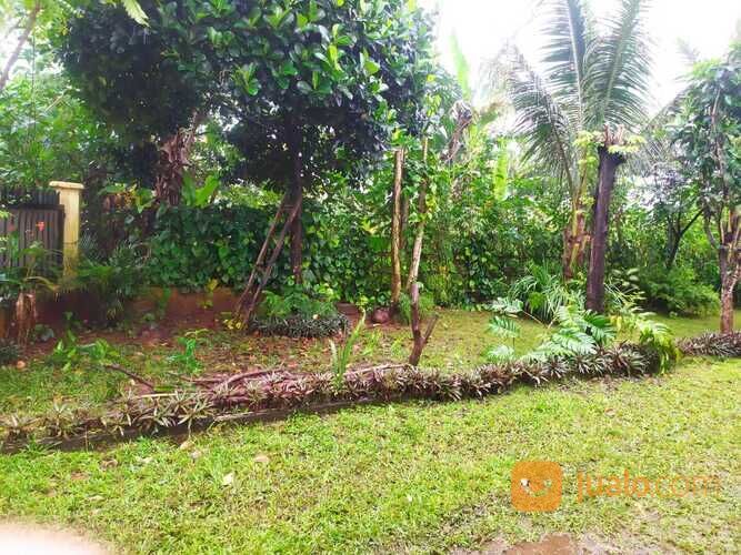 Tanah Murah di Bilabong Permai Bogor, Akses Jalan Pruis