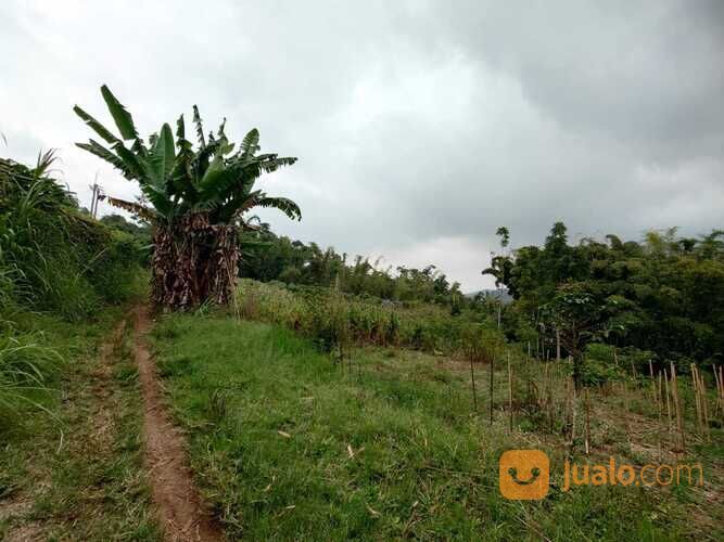 Tanah Luas dan Murah Cocok Untuk Investasi Anda di Pesanggrahan Batu
