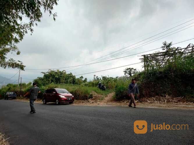 Tanah Luas dan Murah Cocok Untuk Investasi Anda di Pesanggrahan Batu