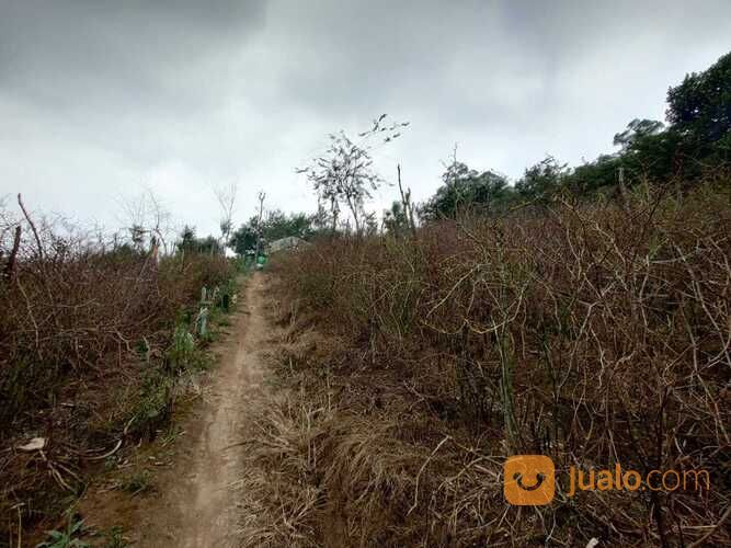Tanah Luas dan Murah Cocok Untuk Investasi Anda di Pesanggrahan Batu
