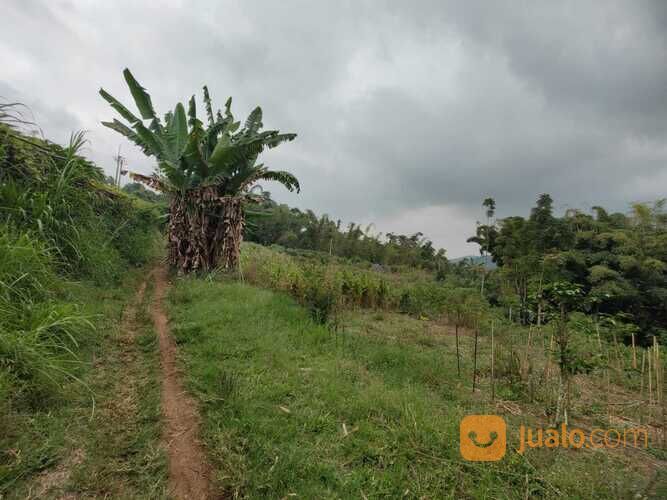 Tanah Luas dan Murah Cocok Untuk Investasi Anda di Pesanggrahan Batu