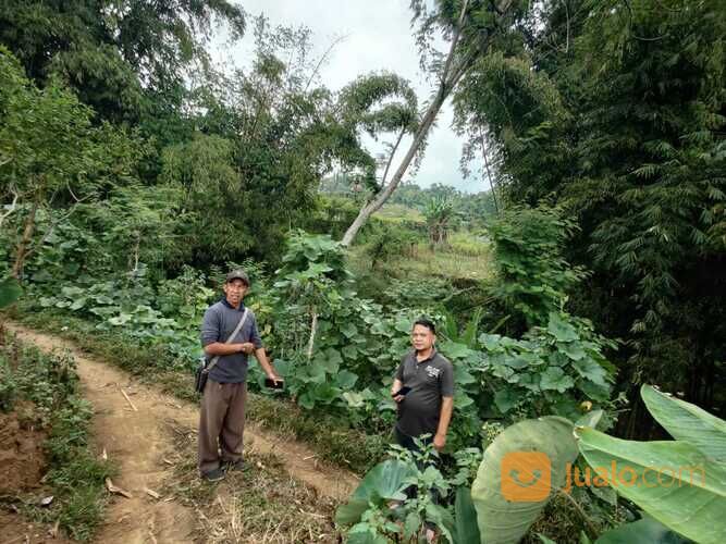 Tanah Luas dan Murah Cocok Untuk Investasi Anda di Pesanggrahan Batu