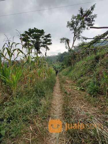 Tanah Luas dan Murah Cocok Untuk Investasi Anda di Pesanggrahan Batu