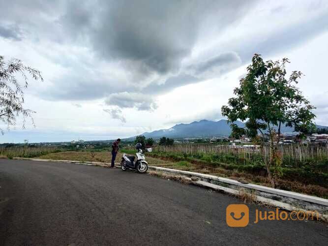 Tanah Luas Cocok Untuk Kavlingan atau Kebun di Junrejo Batu