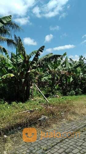 Tanah Lokasi Dadaprejo Junrejo Batu 1,558 Milyar