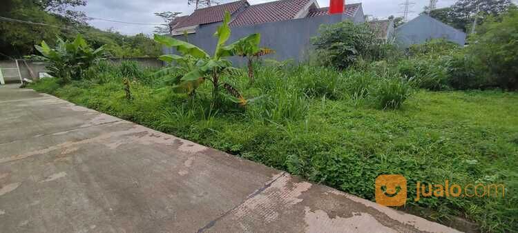 Kavling Cluster Nyaman di Cagar Alam (5 Menit Stasiun Depok)