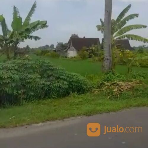 Tanah 45 are, Jl. Pantai Seseh Cemagi Mengwi Badung