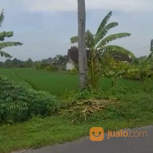 Tanah 45 are, Jl. Pantai Seseh Cemagi Mengwi Badung