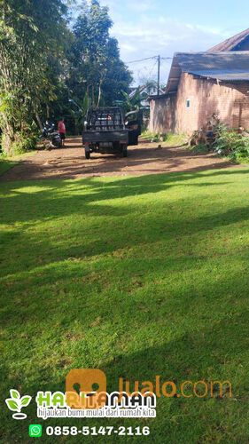 Harga Terbaru Rumput Golf Kota Malang