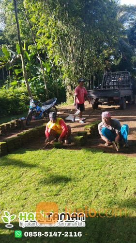 Harga Terbaru Rumput Golf Kota Malang