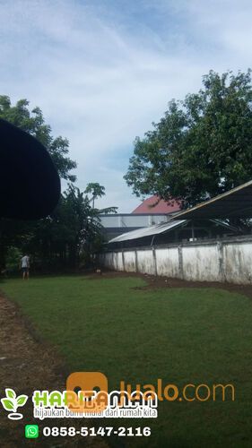 Harga Terbaru Rumput Golf Kota Malang