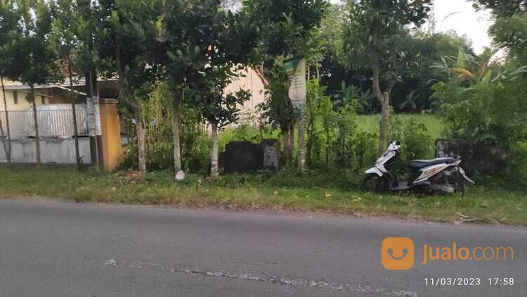 Tanah Dekat Pasar Templek Sambirobyong Cocok Untuk Usaha