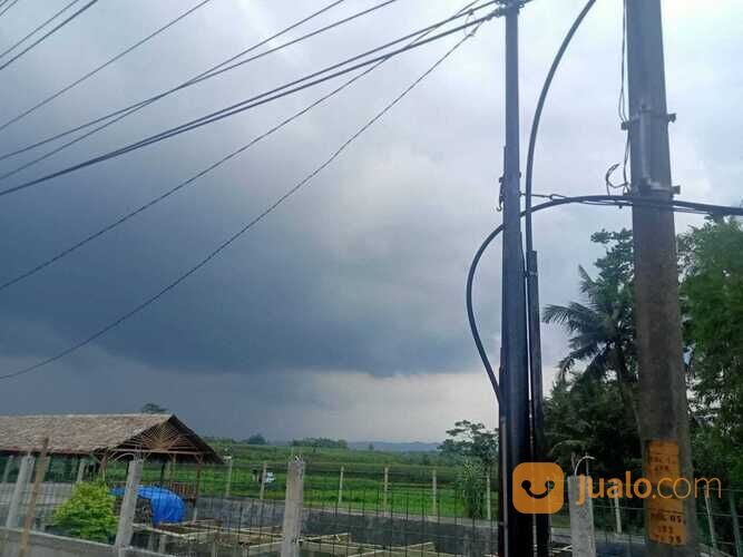 BUC sawah milik orangtua ,Luas tanah 3500 m²