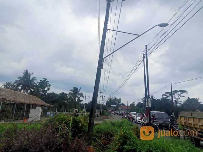 BUC sawah milik orangtua ,Luas tanah 3500 m²