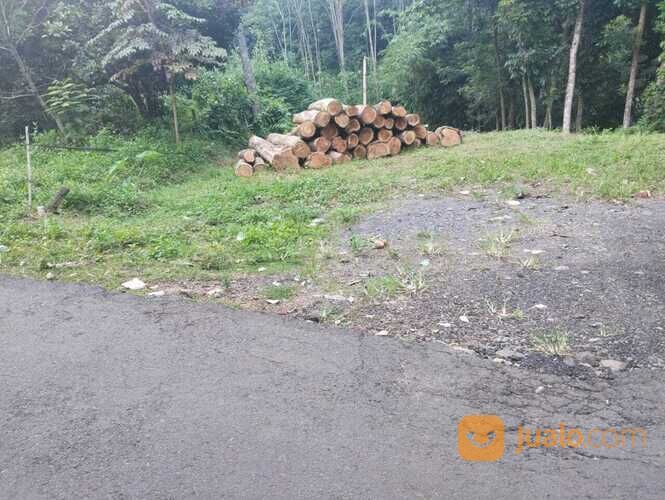 Tanah di Jl Kalimasada Sekaran Gunungpati 700 meter dari Kampus UNNES