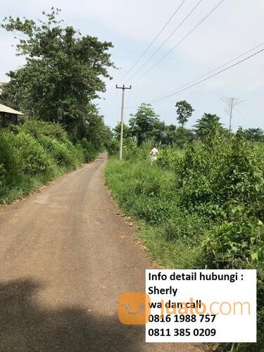 TANAH MURAH DI KUTAWARINGIN, CIANJUR, cocok untuk peternakan, perkebunan, dll