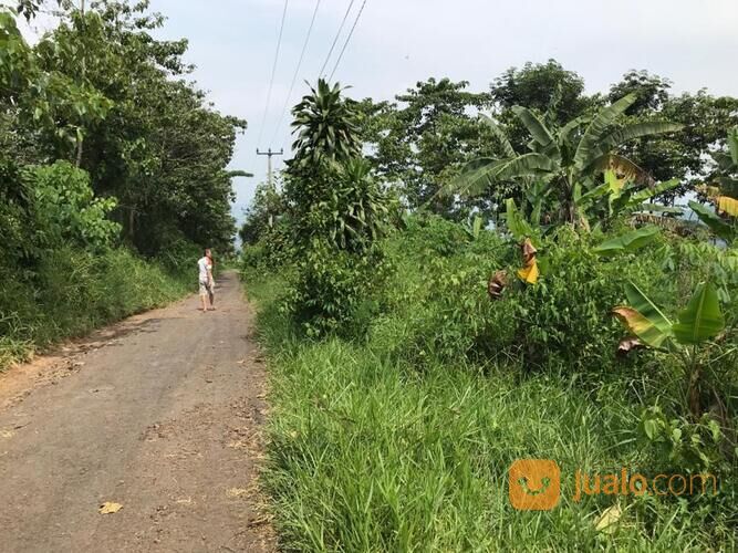 TANAH MURAH DI KUTAWARINGIN, CIANJUR, cocok untuk peternakan, perkebunan, dll