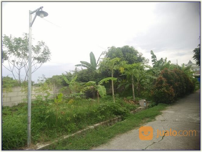Rumah Cantik Dalam Perumahan Rajeg Gardenia Tangerang Banten.