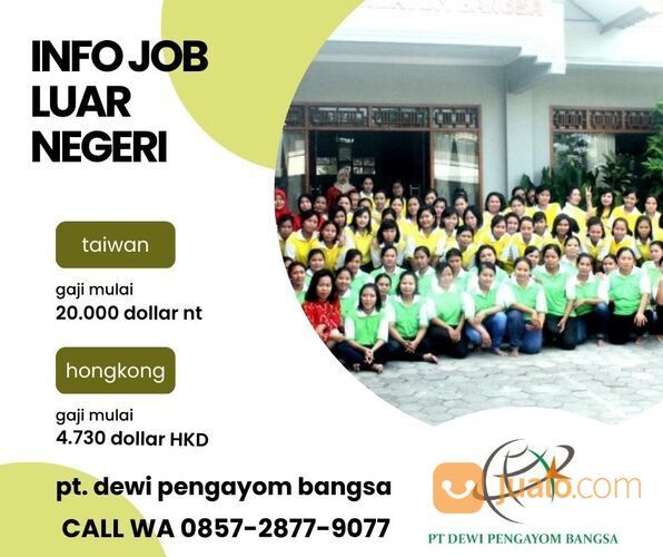 pjtki resmi pati call /wa 0857-2877-9077