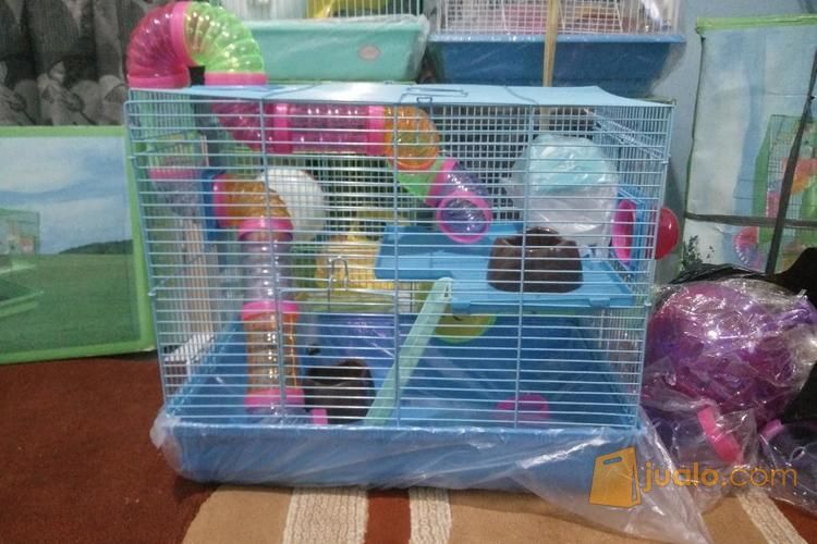 [K21] Kandang Hamster Terowongan Besar