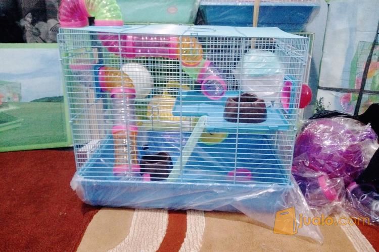 [K21] Kandang Hamster Terowongan Besar