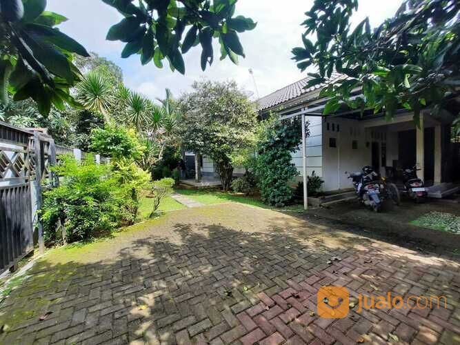 Rumah Karangsari Bojong Pekalongan, Lingkungan Nyaman