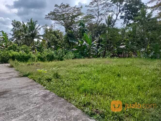 Tanah Kavling Sebidang Tanah pekarangan Di Wates,Gunung Gempal