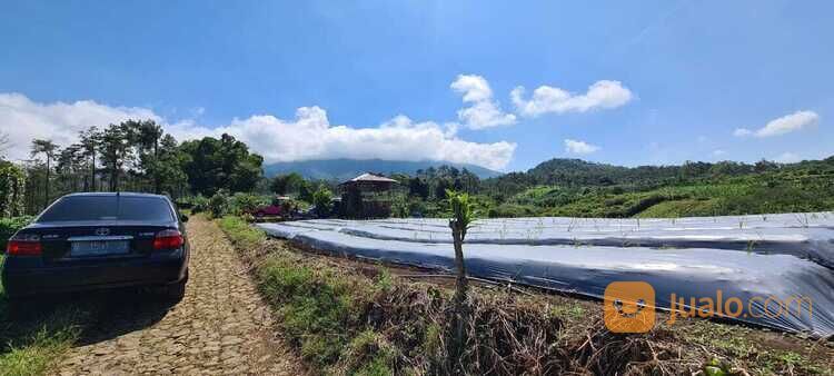 Tanah Murah Alamat Sumbergondo Kota Wisata Batu 666,9 Juta