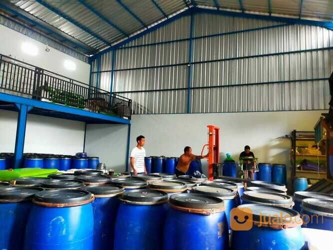 PETERNAK MADU MURNI, 0812-5936-3086, Karangwangi Cirebon Madu Kencono Harga Grosir