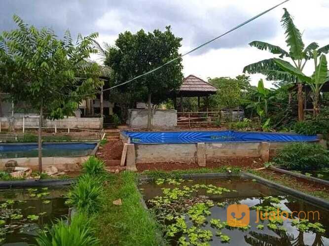 LEGALITAS SHM, RUMAH NUANSA VILLA BILABONG DI BOGOR