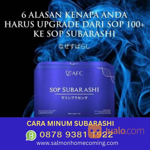 Obat Hipertensi Bagi Ibu Hamil SOP Subarashi